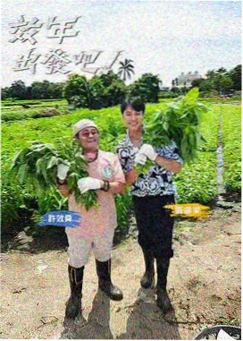 综艺节目在线观看 真人秀